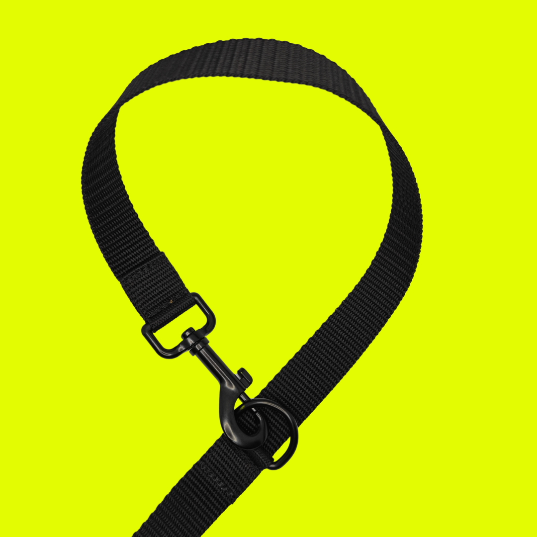 Leine - Freier Geist 25mm